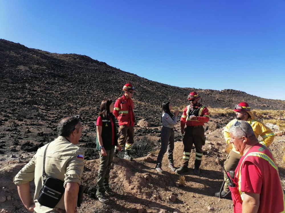 Incendio Forestal Consumió Más De 40 Hectáreas En Parque Nacional