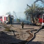 Bomberos de toda la región debieron controlar la emergencia Incendio en hacienda Tiliviche arrasa 5 hectáreas