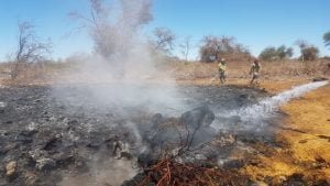 Conaf Tarapacá levanta prohibición de uso<br>del fuego para actividades agrícolas