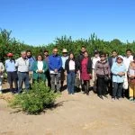 29 agricultores del Tamarugal participarán en programa tecnológico de Corfo