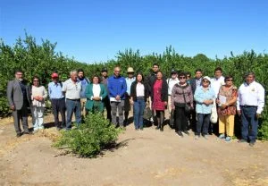 29 agricultores del Tamarugal participarán en programa tecnológico de Corfo