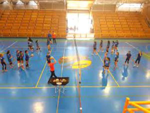 Vóleibol Iquique tendrá torneo regional en dos categorías de damas
