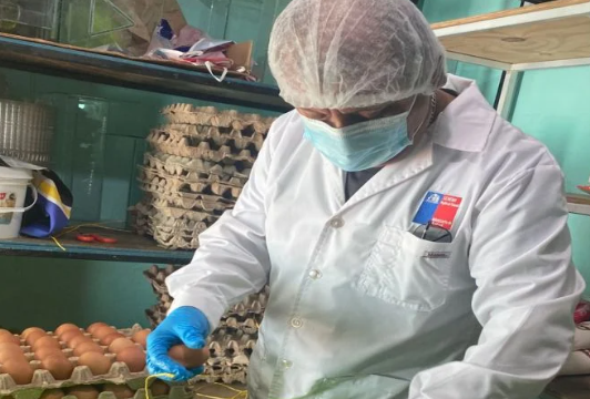 Tarapacá registra 53 brotes de enfermedades transmitidas por alimentos durante 2026
